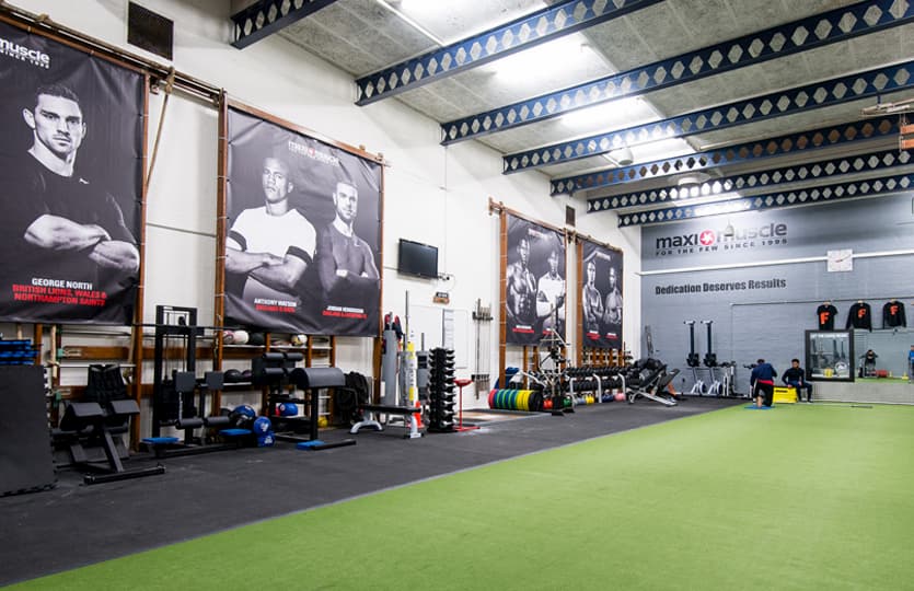 fake grass and weights