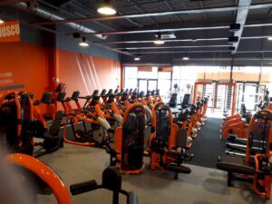 lower body fitness
